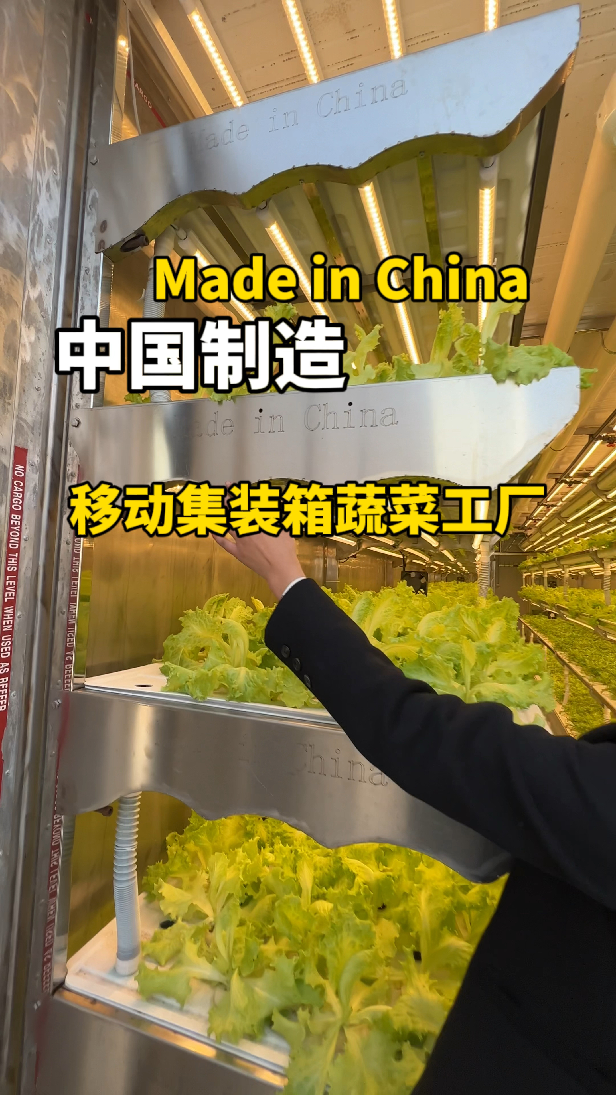 中国制造的移动集装箱蔬菜工厂,没有土没有光照蔬菜照样生长的很好