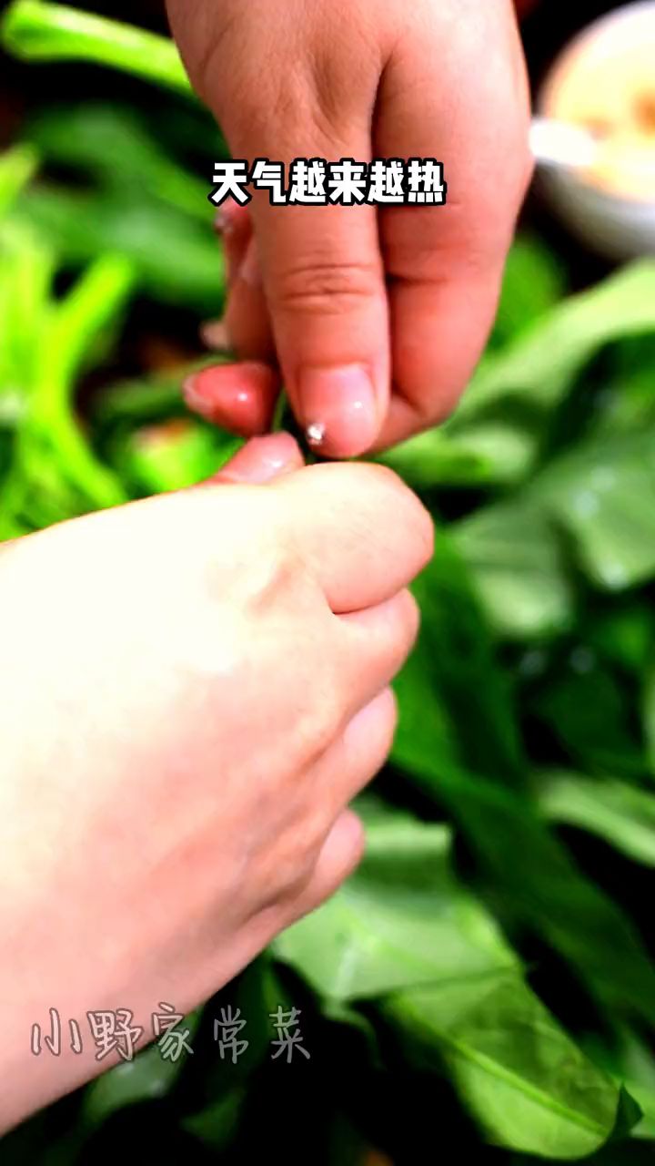 空心菜 买回家你像我这么做,比大鱼大肉还好吃,凉拌空心菜