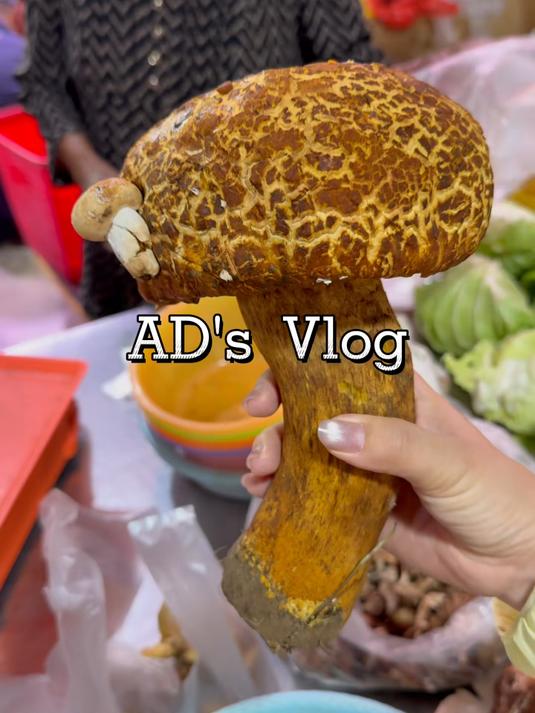 大理Vlog 逛菜市场买菌子，煮野生菌火锅
