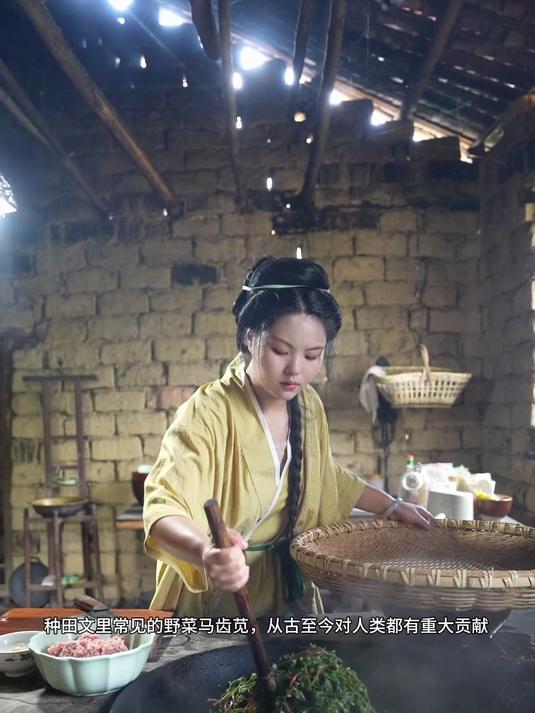 田间无杂草,今日食从古至今都美味的野菜～马齿苋