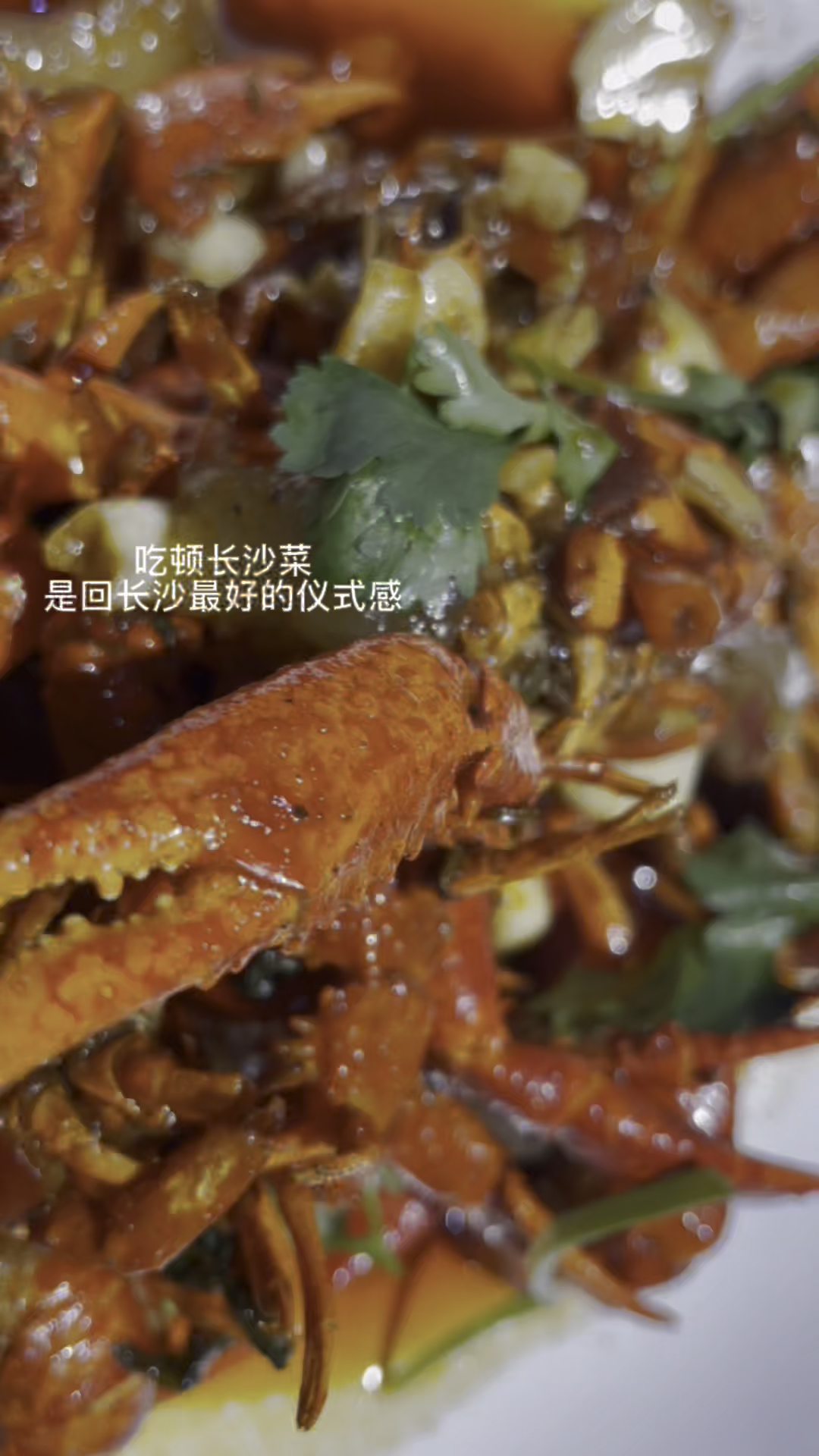 打卡长沙四方坪夜市,入夏佳肴口味小龙虾,里面的魔芋豆腐超好吃