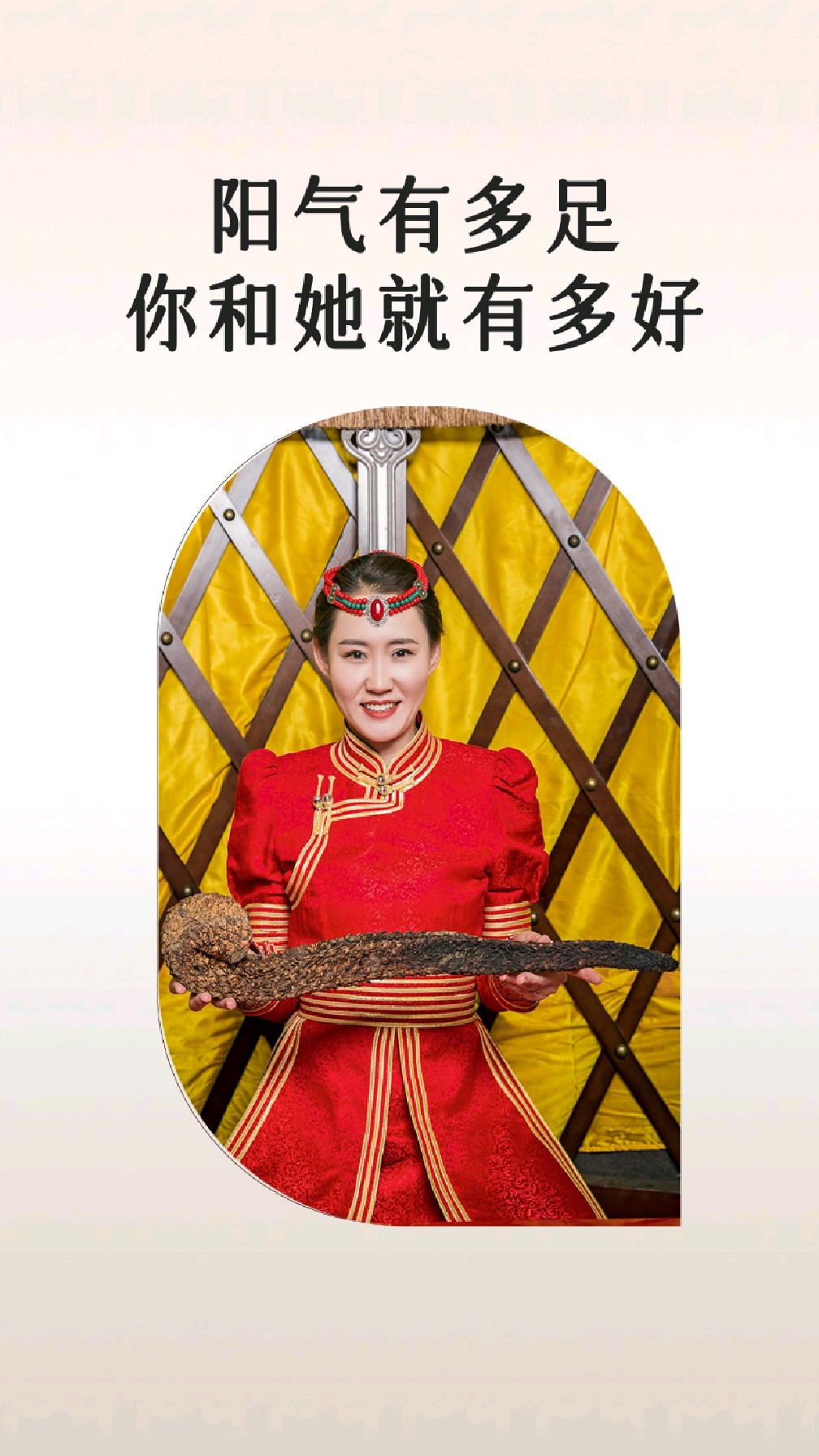 肉苁蓉煲汤,肉苁蓉怎么熬汤?