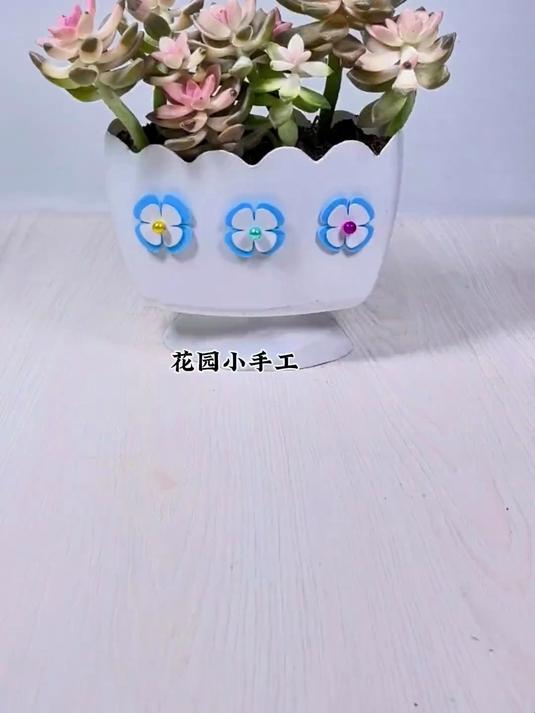 洗衣液瓶做简易花盆