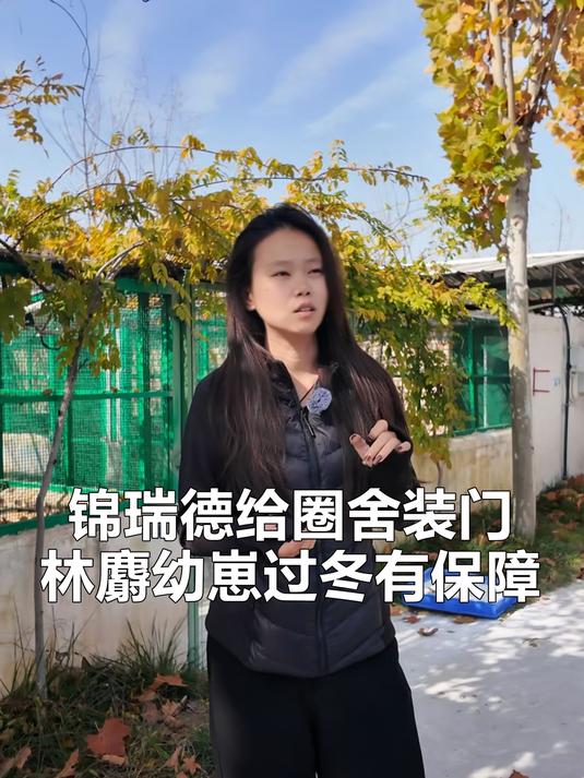 锦瑞德给圈舍装门,林麝幼崽过冬有保障