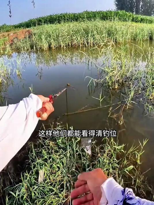 没想到大爷都跑这来了,谁能想到这小水沟全是这么大的,钓鱼人
