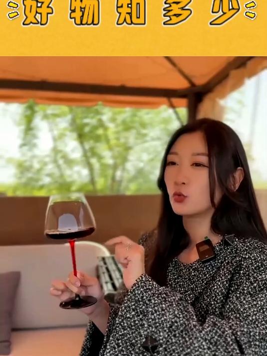 宁夏贺兰山东麓赤霞珠半甜红酒