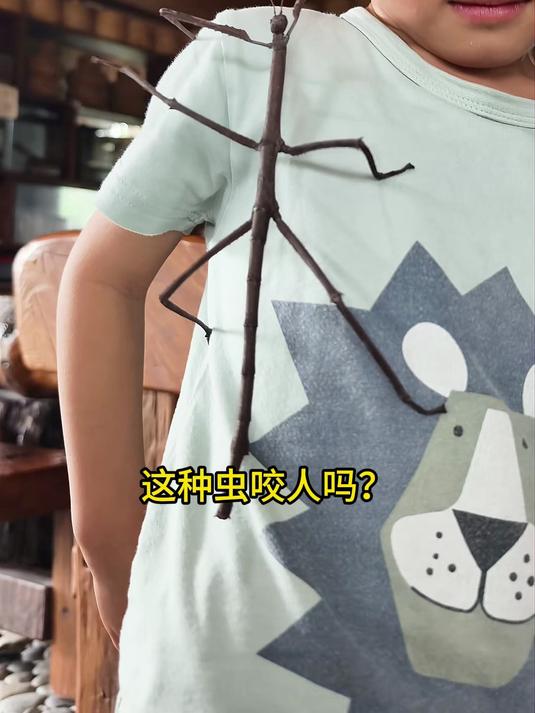 分享三十种不同品种的蛋,看看你见过几种!