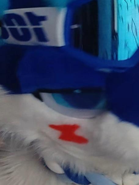 不要生气了#别生气了##furry##福瑞控#