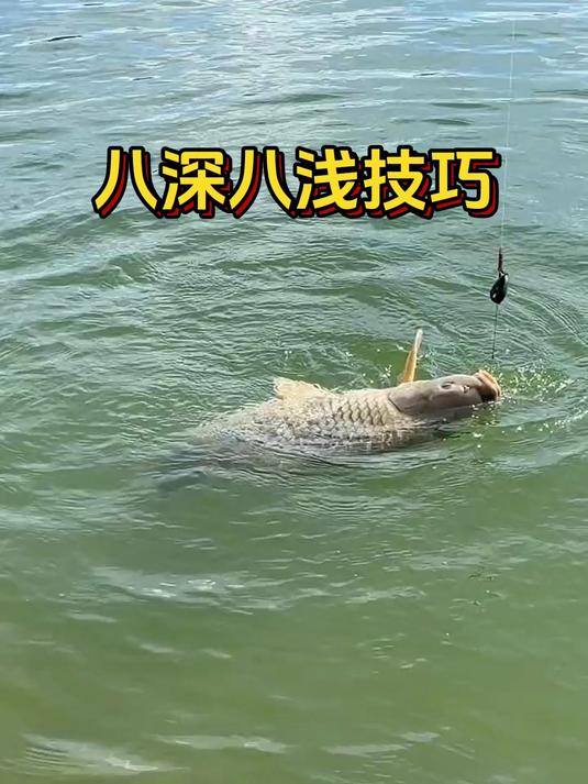 钓鱼口诀之什么时候钓深什么时候钓浅 钓鱼口诀