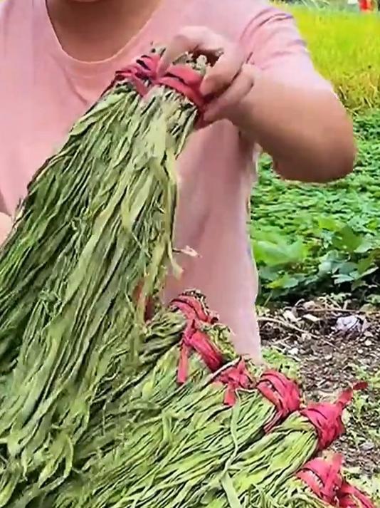 你吃到过的贡菜也是像我们这样手工去皮开条阳光自然晾晒的吗