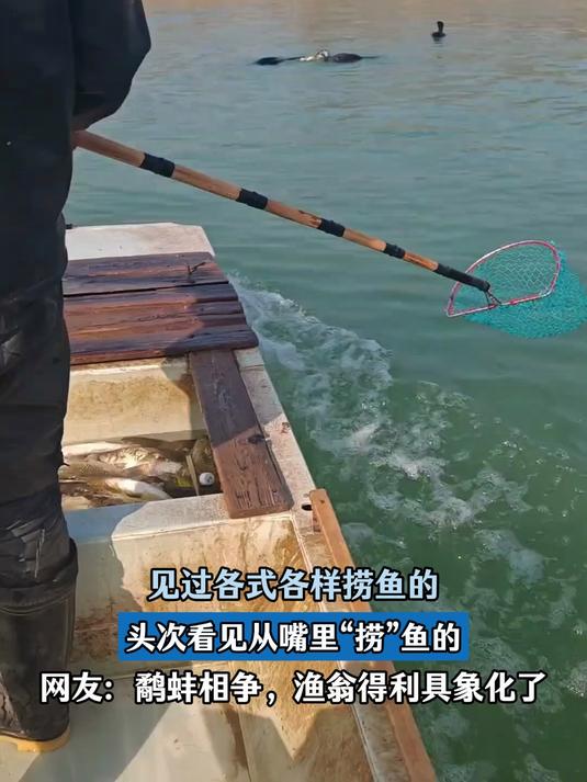 见过各式各样捞鱼的，头次看见从嘴里“捞”鱼的