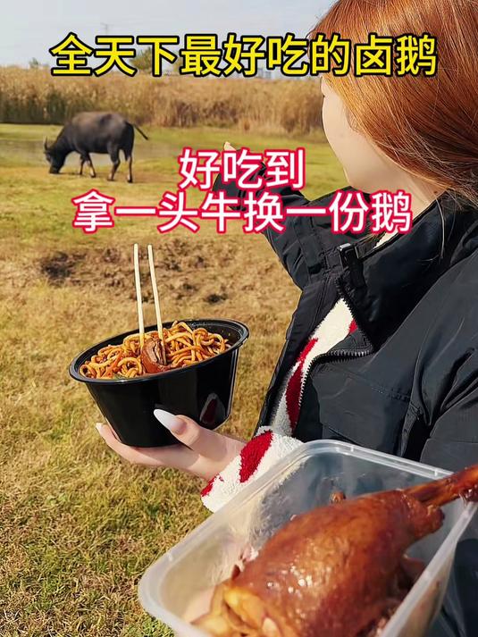 他家卤鹅真好吃，正宗南京卤鹅#卤鹅##潮汕卤鹅##美食分享##熟食卤味##南京美食##特色