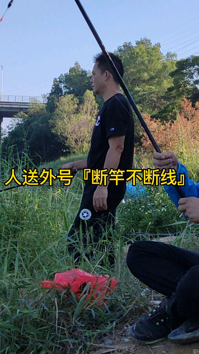 周末野钓日常,专钓麦穗鱼