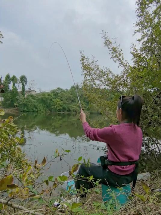 小物钓的乐趣 麦穗鱼是不是你们非常讨厌的一个鱼种