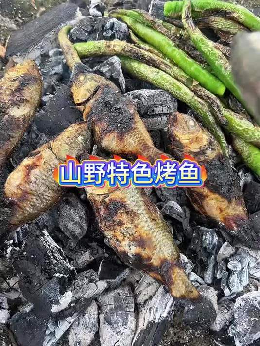 深山就地取材，这样做烤鱼到底多美味？