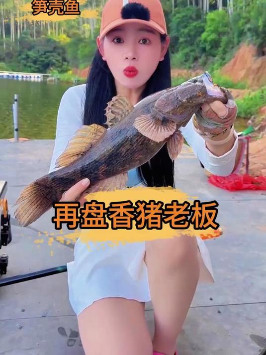 再盘香猪老板，意外收获罕见笋壳鱼……