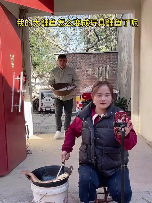 我的鱼怎么变成玩具了