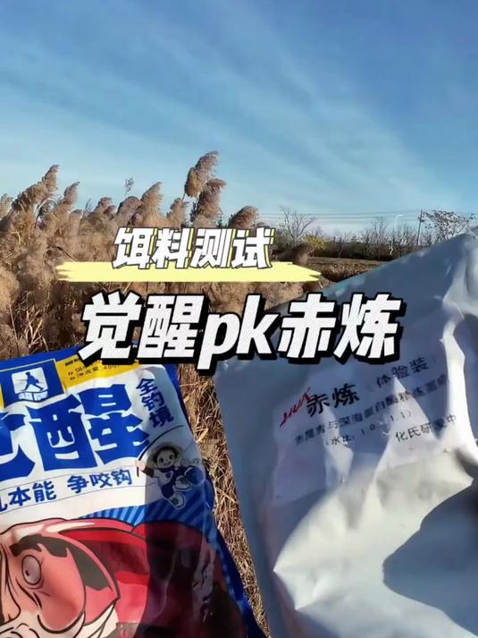 秋冬钓鱼饵料谁好用?饵料pk大作战