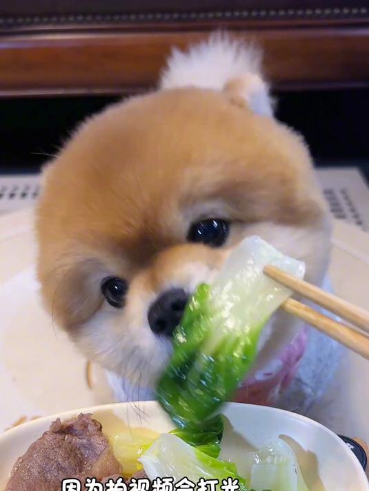 今天吃吃白杆菜