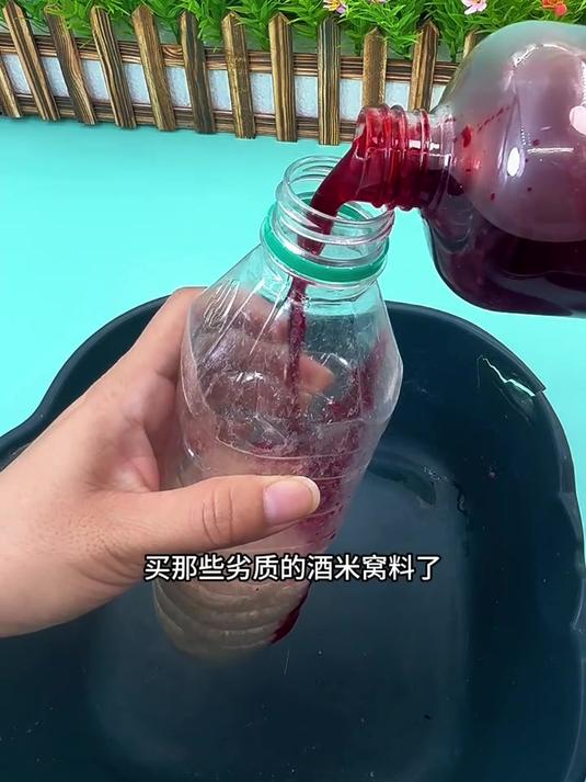 秋冬季野钓鲫鱼,简单教你自制酒米窝料,高手都在用!