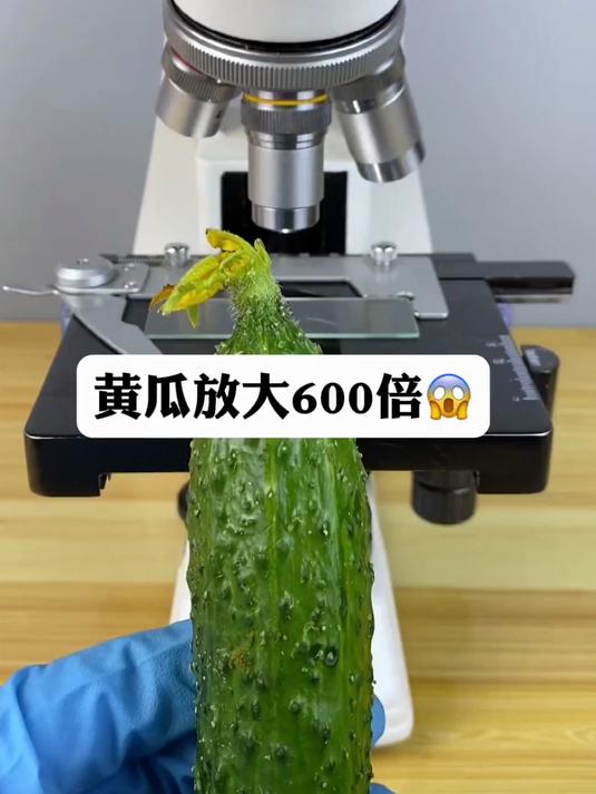 催熟黄瓜为什么不能吃