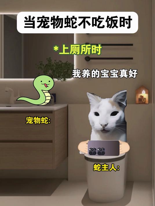 当宠物蛇不吃饭时