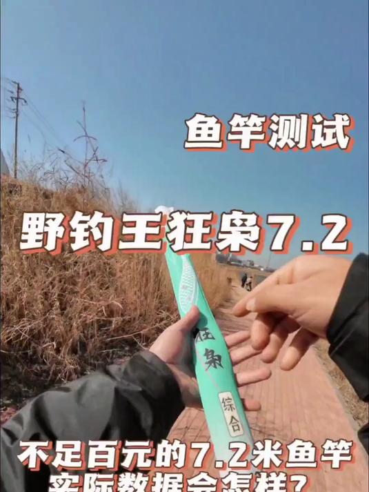 钓友要求测试不足百元的7。2鱼竿!实际数据会怎么样!