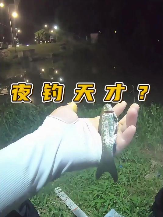 这是一期钓鲤鱼的教学视频，想必你们应该学废了吧#钓鱼#
