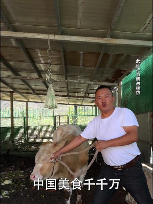 在家做红烧牛排拌面,想吃肉的一定要试试,牛排软烂脱骨又入味!