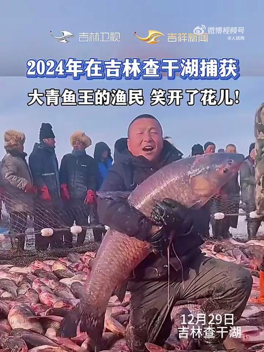 接好运!渔民捕获大青鱼王笑开花