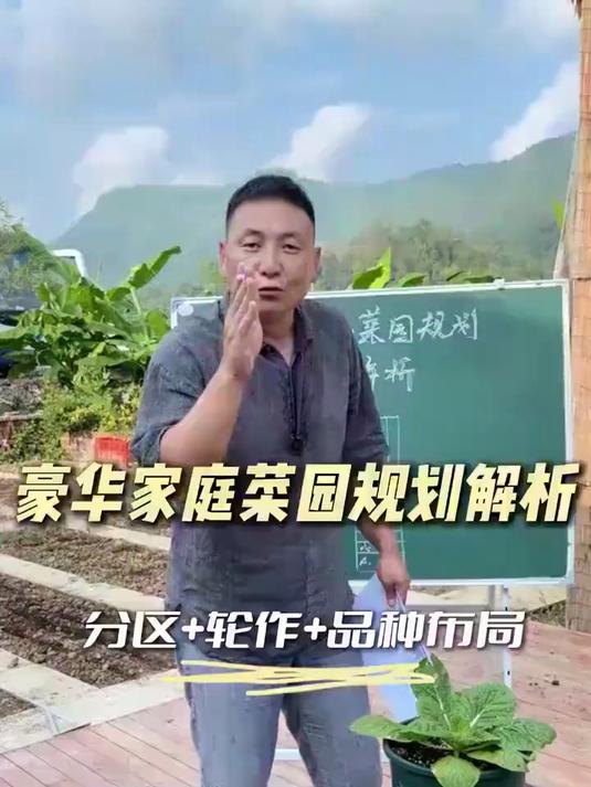 家庭菜园该怎么规划？今天结合实际案例从四方面给大家说说规划#三农#