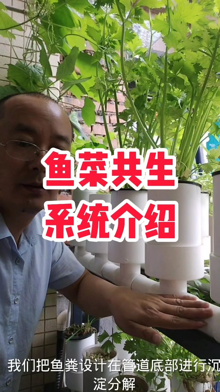 鱼菜共生系统设计没那么简单