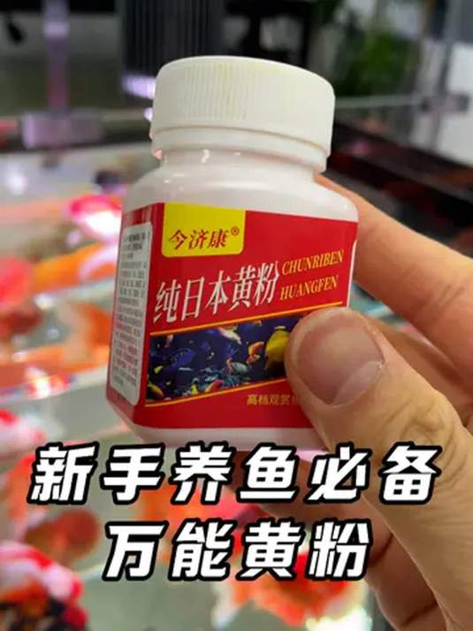 养鱼常备黄粉,轻松解决鱼儿烂尾烂身,守护健康