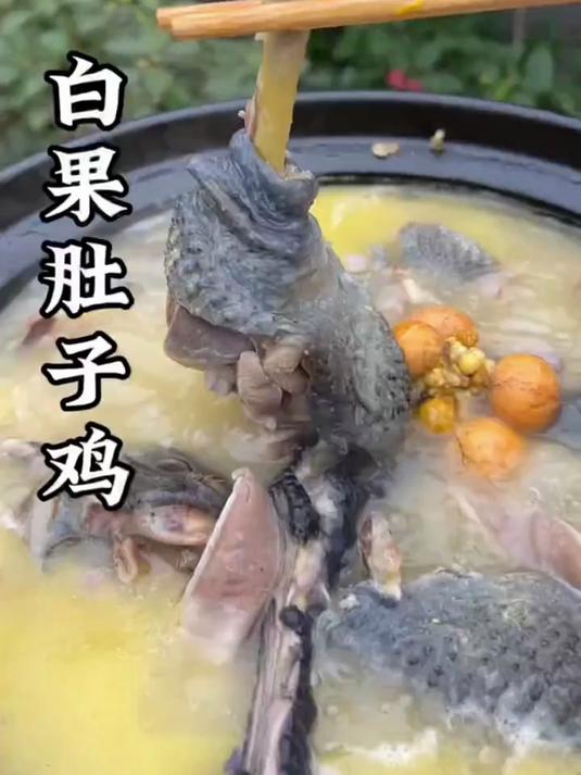 白果肚子鸡做法