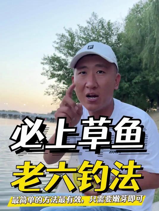 分享一个“必上”草鱼的老六钓法