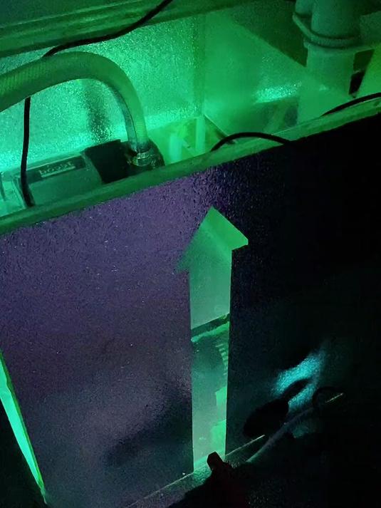 大白鲨看到了么