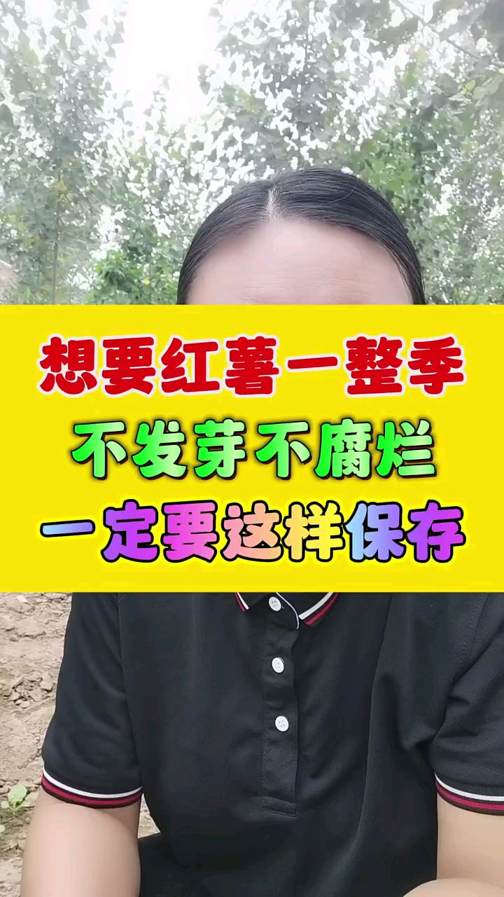 想要红薯一整季,不发芽不腐烂,一定要这样保存