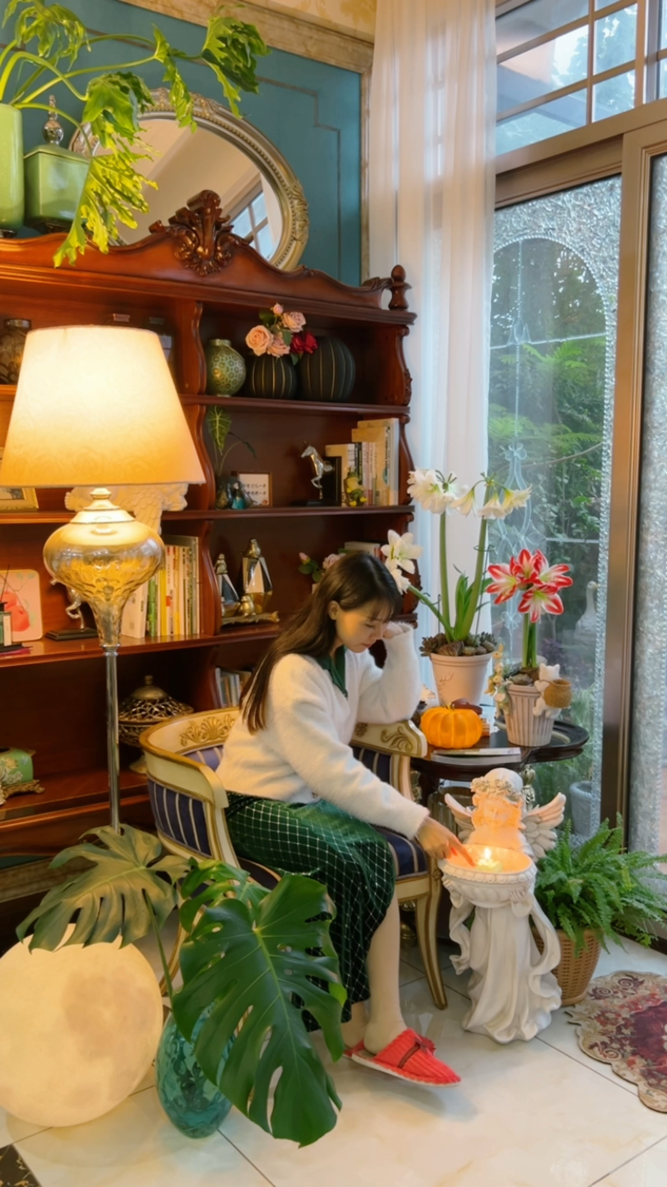 66公分高的爱丽丝终于搬回家了