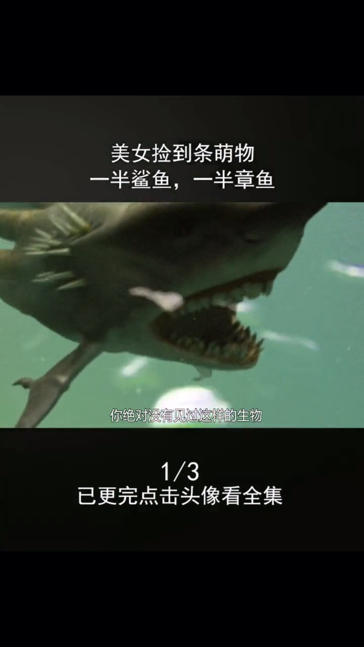 这到底是鲨鱼出了轨还是章鱼劈了腿