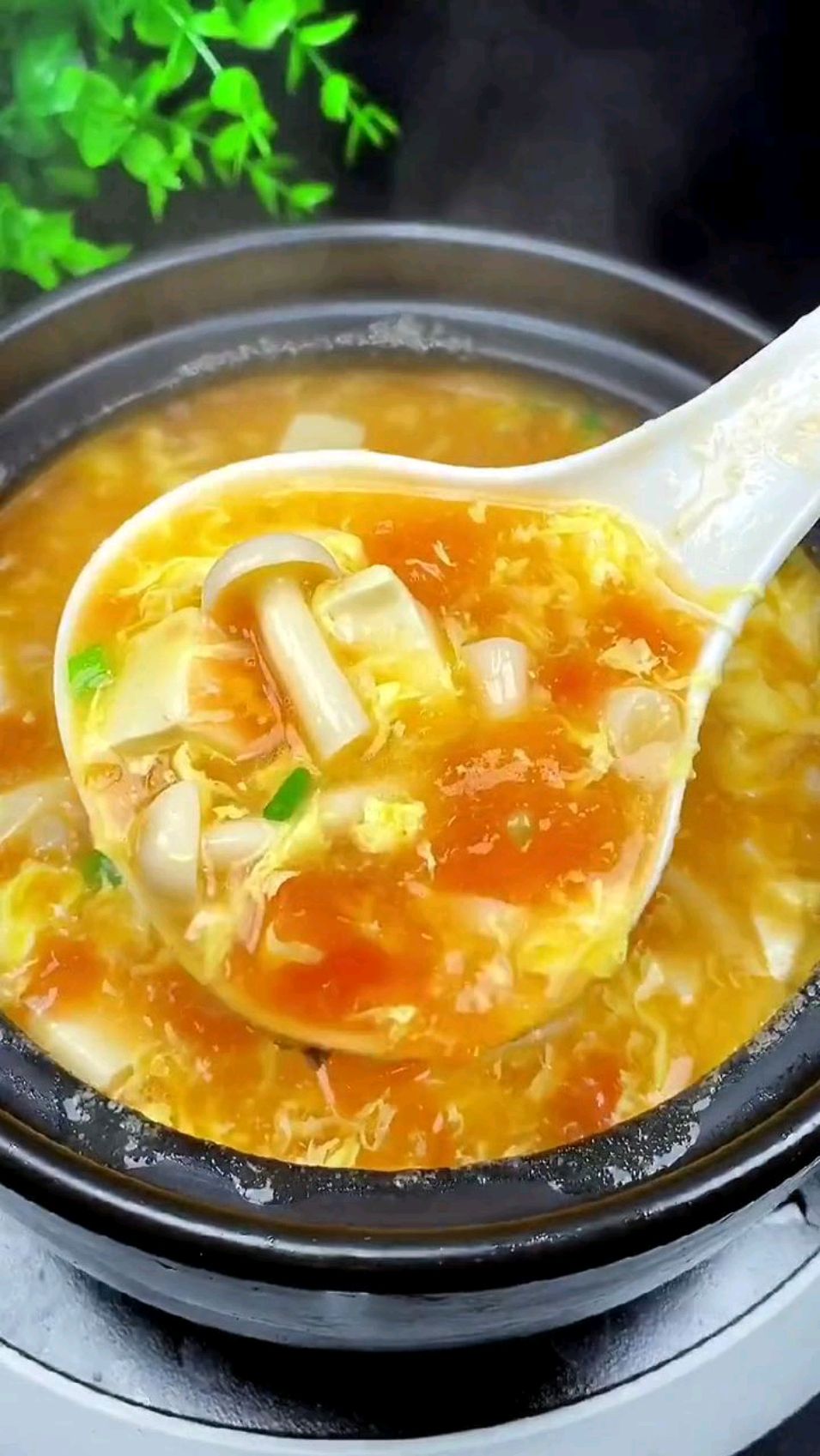 周末给孩子做西红柿菌菇豆腐汤,比大鱼大肉还好吃