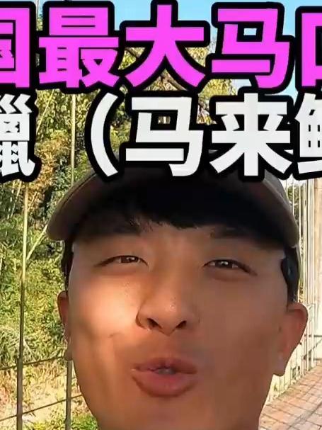 据说南腊河里有中国最大的马口,最后有惊喜
