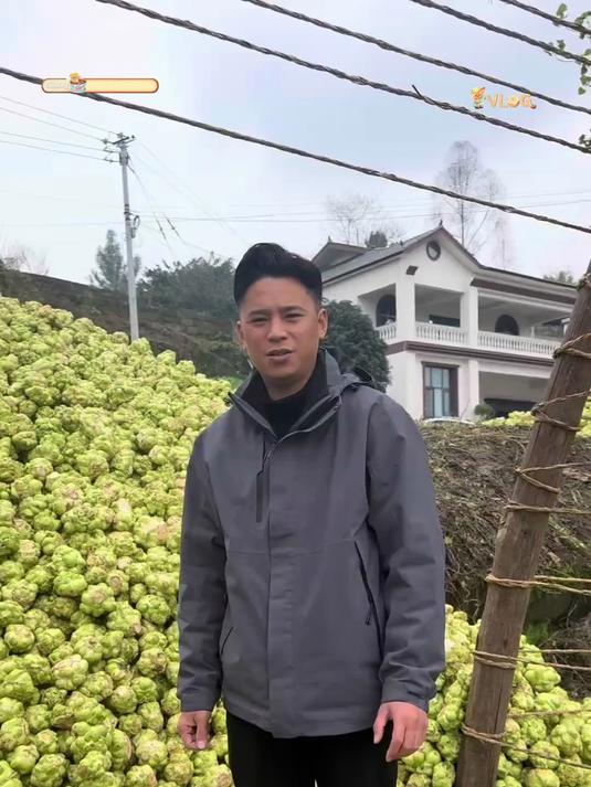 正宗涪陵榨菜丝美味下饭菜真的太好吃了！