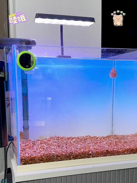 二代创新设计!换水器可延长,鱼缸清洁更轻松