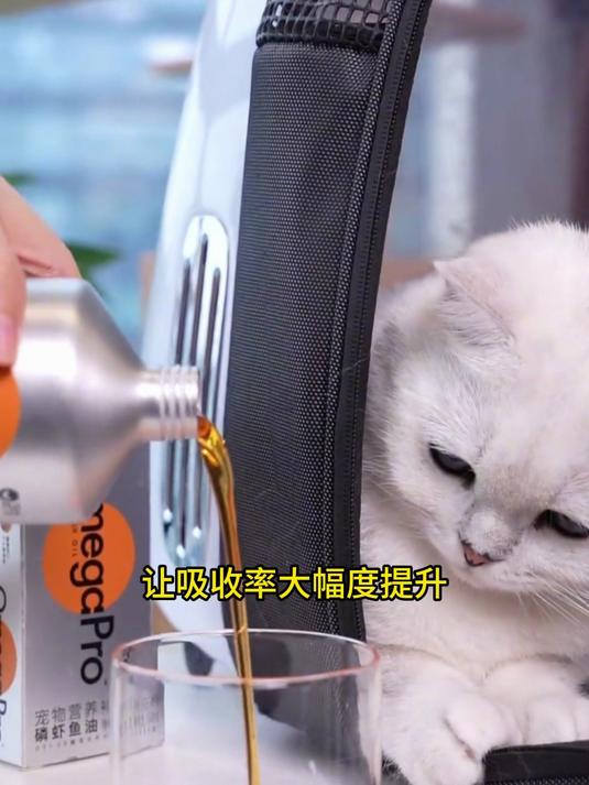 卫仕磷虾深海鱼油猫咪用狗狗犬用防掉毛宠物专用卵磷脂美毛243ml