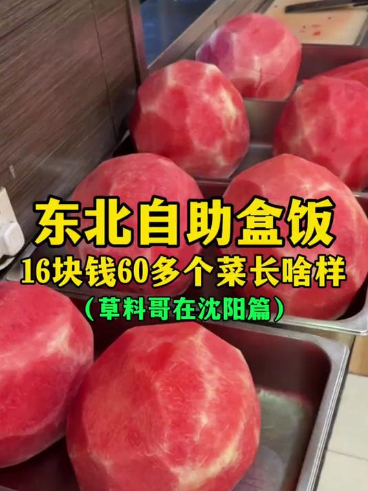 东北自助盒饭 16块钱60多个菜长啥样？（草料哥在沈阳篇）
