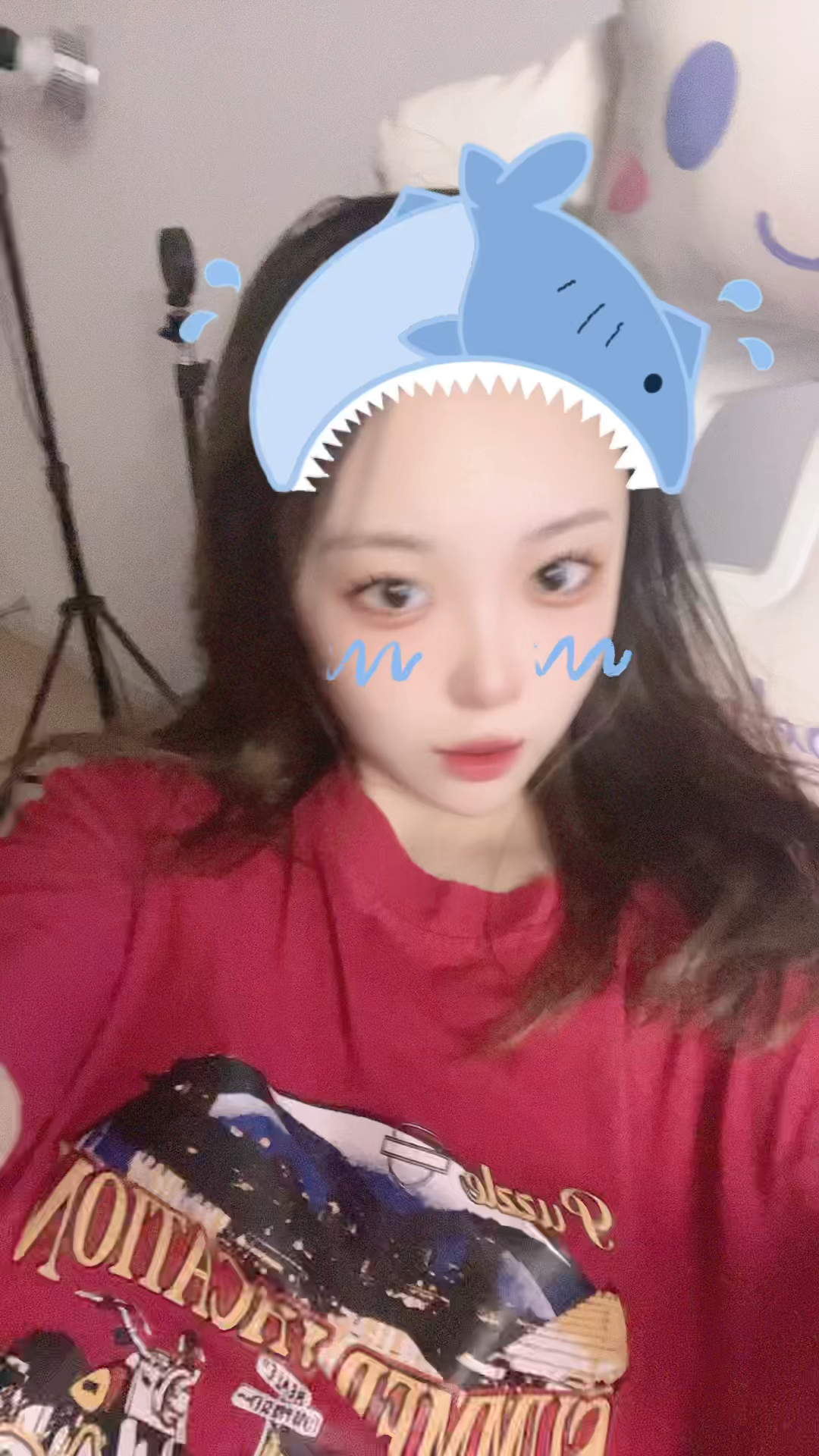 小鲨鱼好可爱～