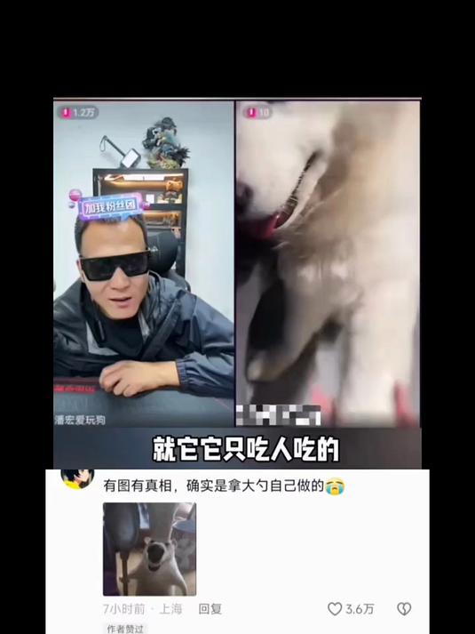 潘宏咋还训主人