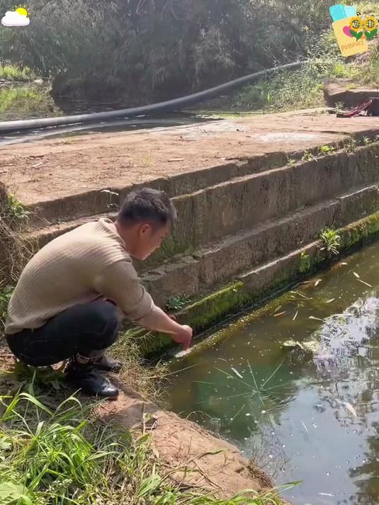 「高效捕虾神器」折叠设计,便携耐用鱼虾入笼易,收网快野钓必备