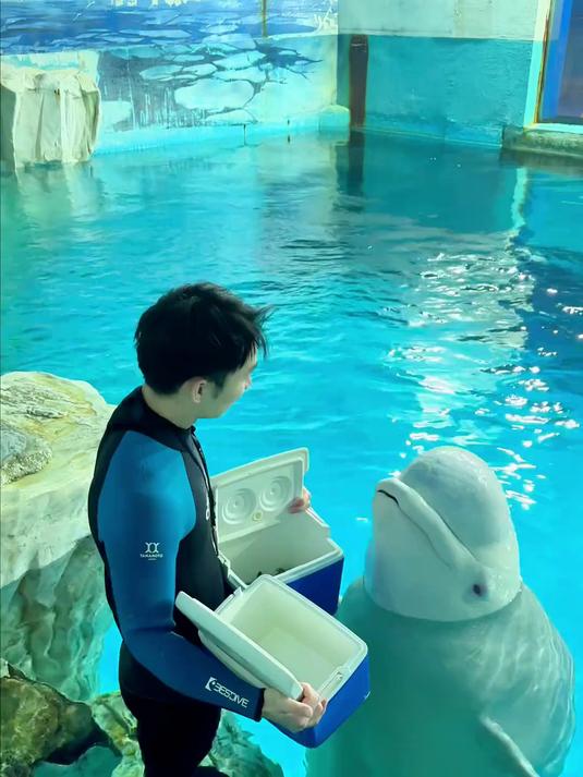 和乐乐玩盲盒鱼桶挑战，乐乐今天能不能吃到鱼呢？