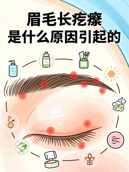 眉毛长疙瘩是什么原因引起的
